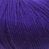 Cascade 220 Superwash -257 - Violet Indigo 886904051207 | Yarn at Michigan Fine Yarns