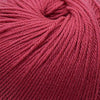 Cascade 220 Superwash -290 - Chrysanthemum 886904056752 | Yarn at Michigan Fine Yarns