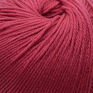 Cascade 220 Superwash -290 - Chrysanthemum 886904056752 | Yarn at Michigan Fine Yarns