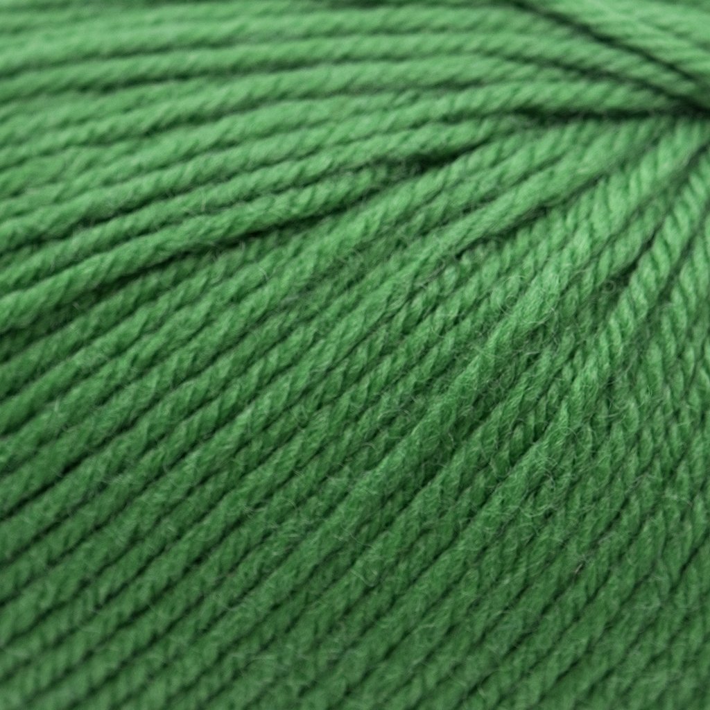 Cascade 220 Superwash -352 - Verdant Green 886904016480 | Yarn at Michigan Fine Yarns