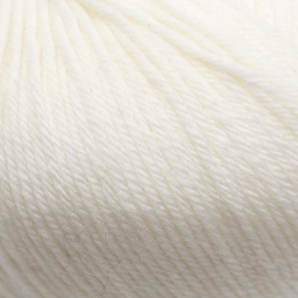 Cascade 220 Superwash -817 - Aran 886904000618 | Yarn at Michigan Fine Yarns