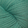 Cascade 220 Superwash Aran -886904029336 | Yarn at Michigan Fine Yarns