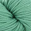 Cascade 220 Superwash Aran -886904062968 | Yarn at Michigan Fine Yarns