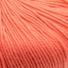 Cascade 220 Superwash (Continued) -14113578 | Yarn at Michigan Fine Yarns