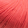 Cascade 220 Superwash (Continued) -98810922 | Yarn at Michigan Fine Yarns