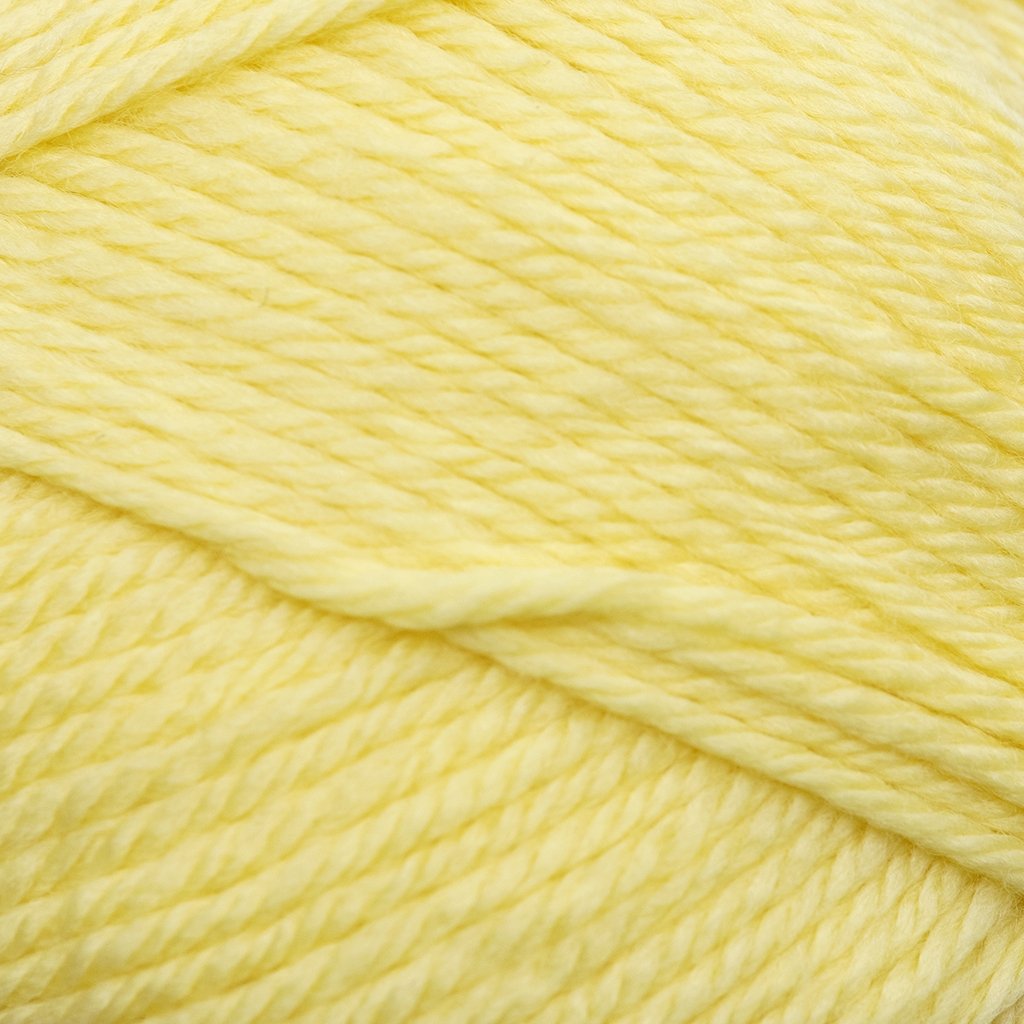 Cascade 220 Superwash Merino at Michigan Fine Yarns