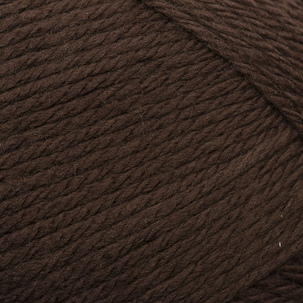 Cascade 220 Superwash Merino at Michigan Fine Yarns