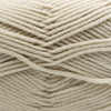 Cascade 220 Superwash Merino -886904054130 | Yarn at Michigan Fine Yarns