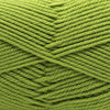 Cascade 220 Superwash Merino at Michigan Fine Yarns