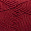 Cascade 220 Superwash Merino at Michigan Fine Yarns