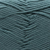 Cascade 220 Superwash Merino at Michigan Fine Yarns