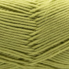 Cascade 220 Superwash Merino at Michigan Fine Yarns