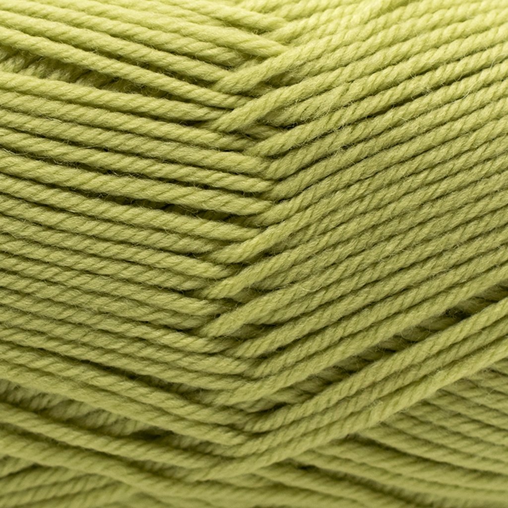 Cascade 220 Superwash Merino at Michigan Fine Yarns