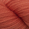 Cascade 220 Superwash Sport -886904024379 | Yarn at Michigan Fine Yarns