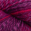 Cascade 220 Superwash Wave -886904051597 | Yarn at Michigan Fine Yarns