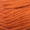 Cascade Cherub Bulky -886904011195 | Yarn at Michigan Fine Yarns