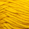 Cascade Cherub Bulky -886904011201 | Yarn at Michigan Fine Yarns