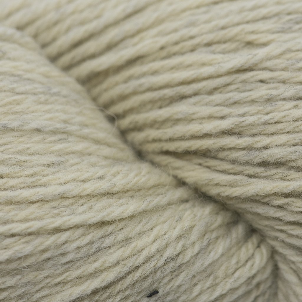 Cascade Eco Merino DK yarn at The Endless Skein