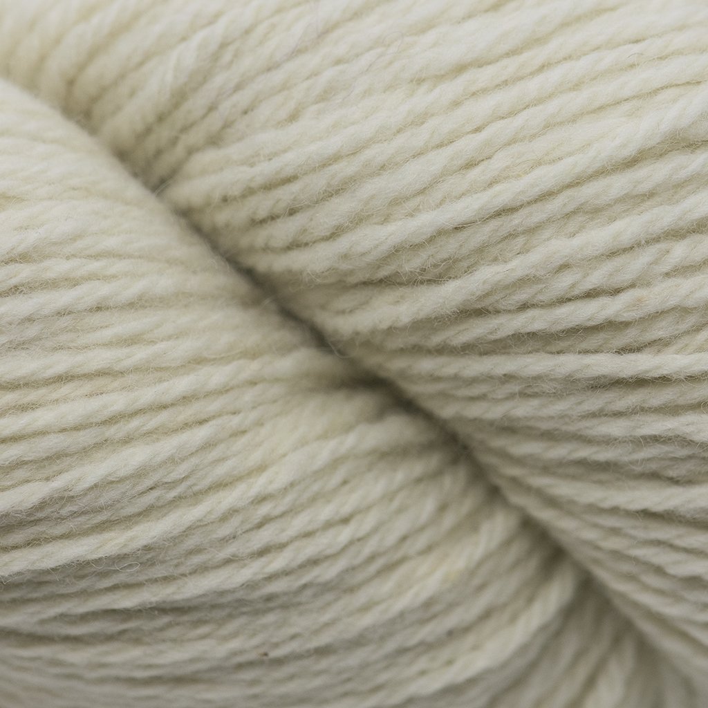 Cascade Eco Merino DK -886904009895 | Yarn at Michigan Fine Yarns