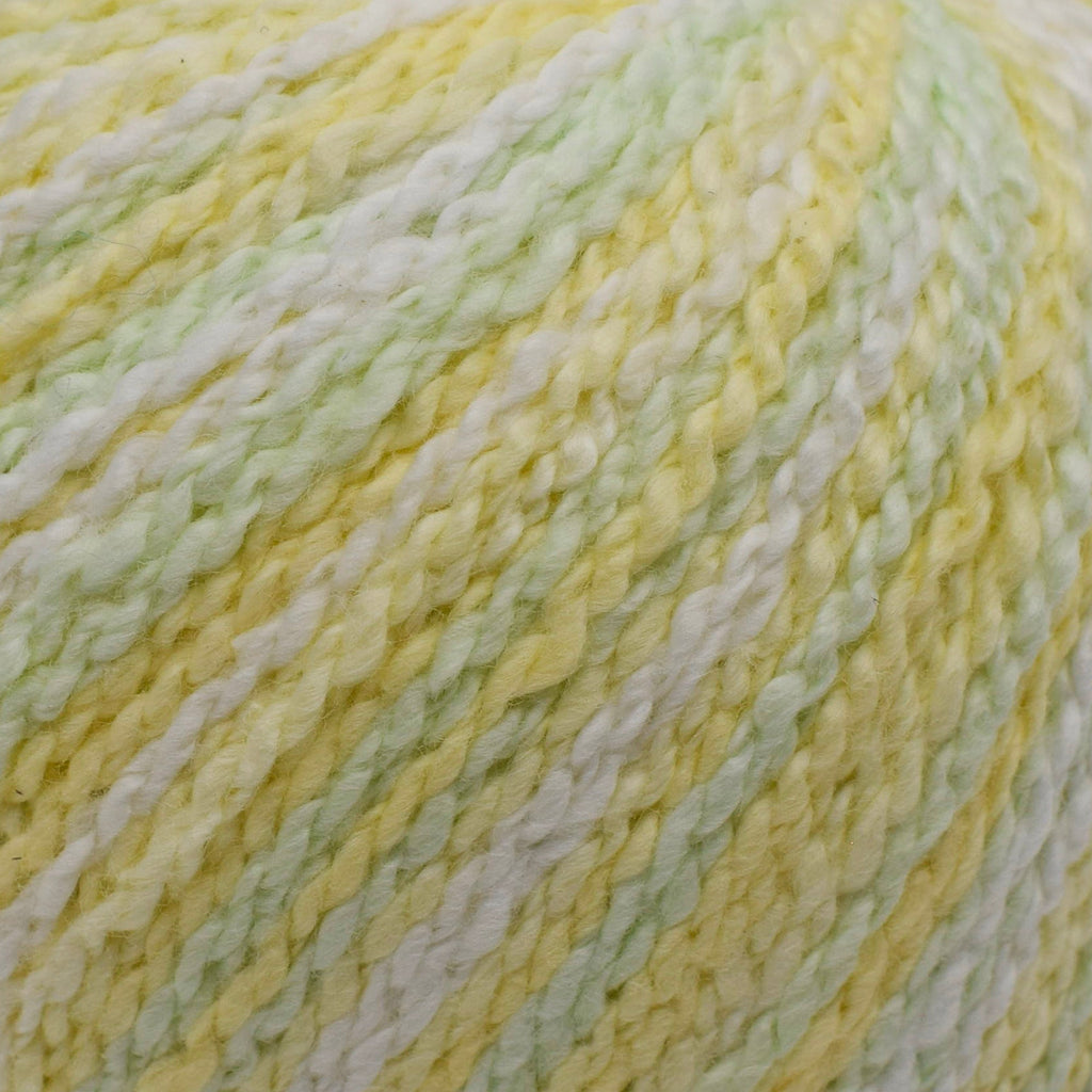 Cascade Fixation Spray Dyed -886904042229 | Yarn at Michigan Fine Yarns