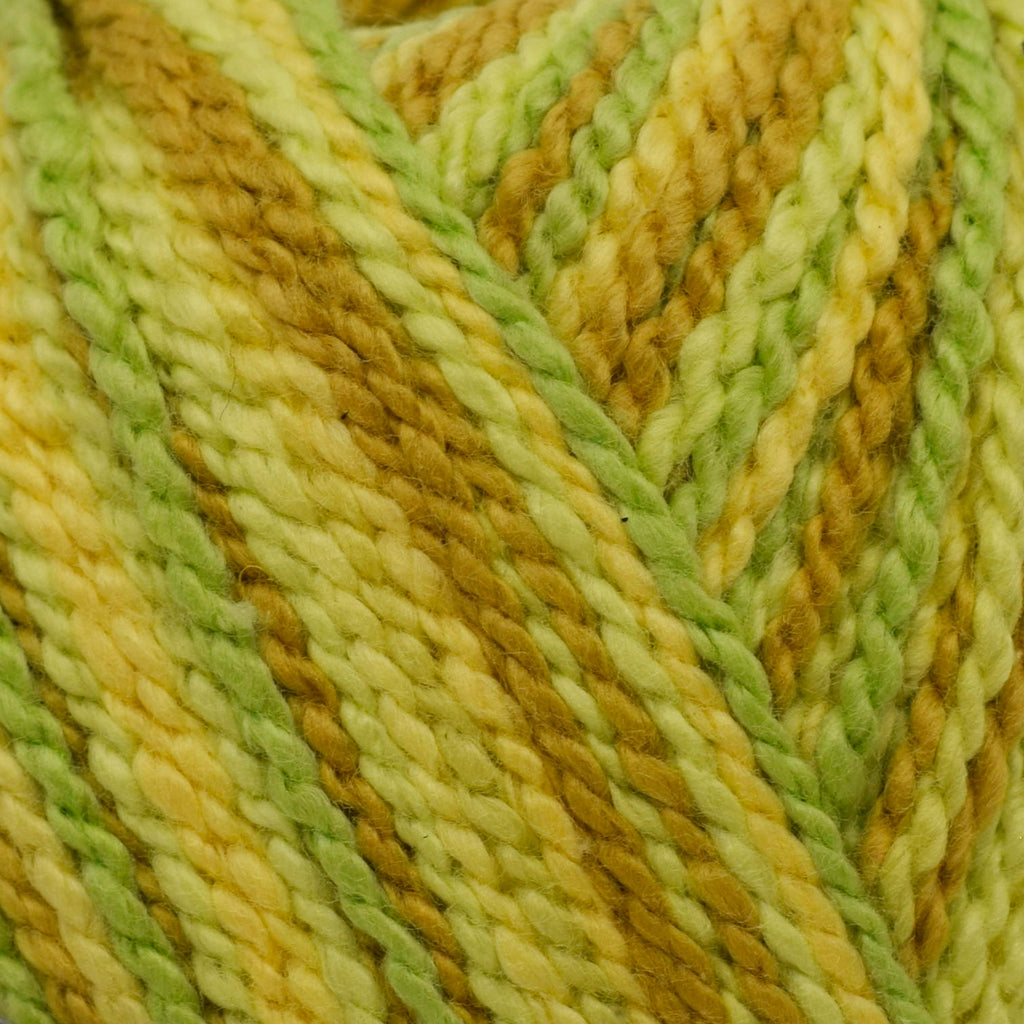 Cascade Fixation Spray Dyed -886904042250 | Yarn at Michigan Fine Yarns