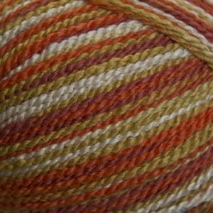 Cascade Fixation Spray Dyed -886904042274 | Yarn at Michigan Fine Yarns