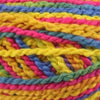 Cascade Fixation Spray Dyed -886904042731 | Yarn at Michigan Fine Yarns