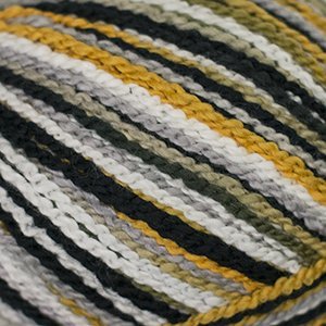 Cascade Fixation Spray Dyed -886904052853 | Yarn at Michigan Fine Yarns