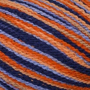 Cascade Fixation Spray Dyed -96881450 | Yarn at Michigan Fine Yarns