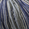 Cascade Forest Hills Multis -103 - Denim 886904036518 | Yarn at Michigan Fine Yarns