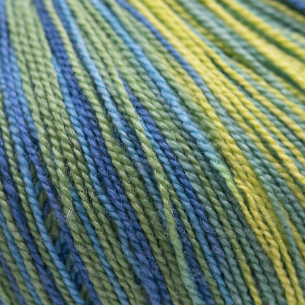 Cascade Forest Hills Multis -104 - Sea Grass 886904036525 | Yarn at Michigan Fine Yarns