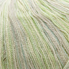 Cascade Forest Hills Multis -109 - Illusion 14522410 | Yarn at Michigan Fine Yarns