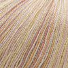 Cascade Forest Hills Multis -110 - Ballet 14555178 | Yarn at Michigan Fine Yarns