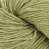 Cascade Friday Harbor -21 - Fern 886904060629 | Yarn at Michigan Fine Yarns