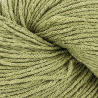 Cascade Friday Harbor -21 - Fern 886904060629 | Yarn at Michigan Fine Yarns