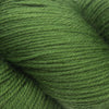 Cascade Heritage -5612 - Moss 886904023570 | Yarn at Michigan Fine Yarns