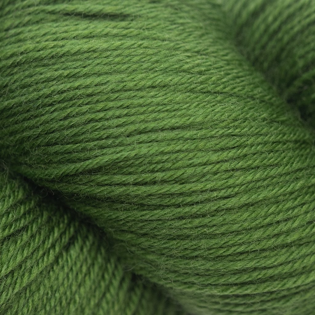 Cascade Heritage -5612 - Moss 886904023570 | Yarn at Michigan Fine Yarns