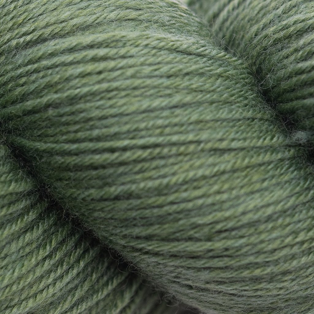 Cascade Heritage -5635 - Sage 886904023761 | Yarn at Michigan Fine Yarns