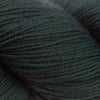 Cascade Heritage -5654 - Spruce 886904023952 | Yarn at Michigan Fine Yarns