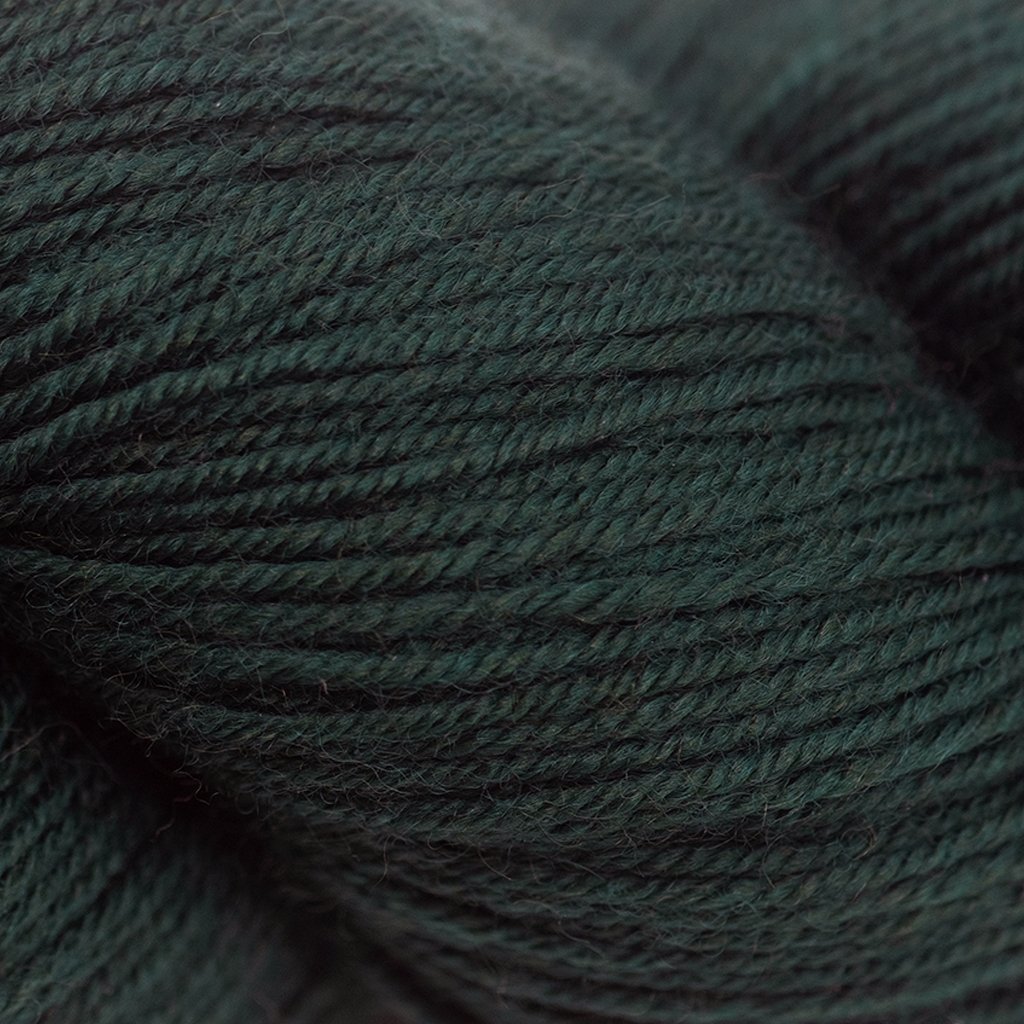 Cascade Heritage -5654 - Spruce 886904023952 | Yarn at Michigan Fine Yarns