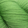 Cascade Heritage -5658 - Herb 886904023990 | Yarn at Michigan Fine Yarns