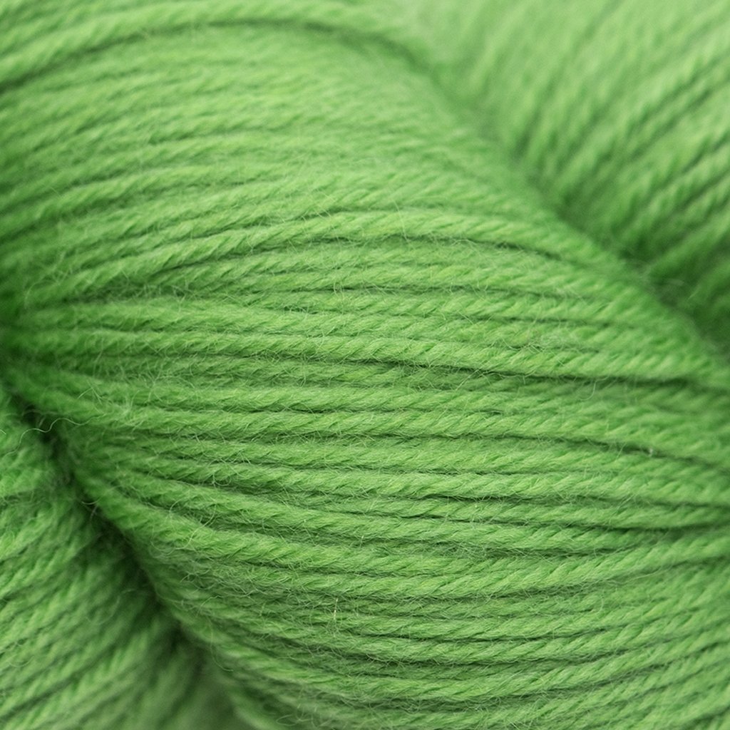 Cascade Heritage -5658 - Herb 886904023990 | Yarn at Michigan Fine Yarns