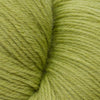 Cascade Heritage -5760 - Fern 886904025987 | Yarn at Michigan Fine Yarns
