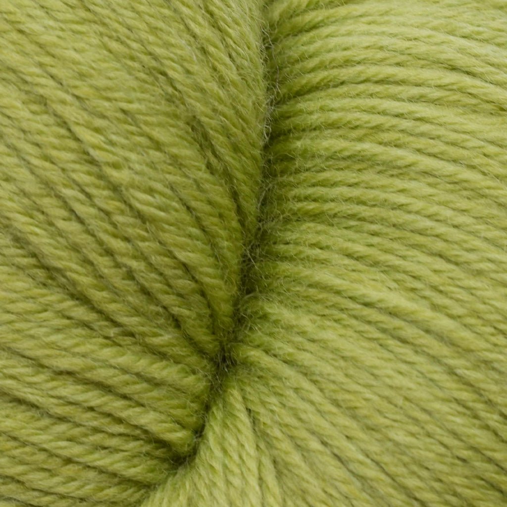 Cascade Heritage -5760 - Fern 886904025987 | Yarn at Michigan Fine Yarns