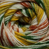 Cascade Heritage Prints -21 - Tropics 886904040669 | Yarn at Michigan Fine Yarns