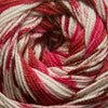 Cascade Heritage Prints -29 - Jewels 886904040744 | Yarn at Michigan Fine Yarns