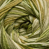 Cascade Heritage Prints -32 - Tut 886904040775 | Yarn at Michigan Fine Yarns