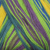 Cascade Heritage Prints -76 - Tropical Stripe 886904011577 | Yarn at Michigan Fine Yarns