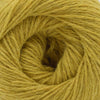 Cascade ReFine -15 - Golden 886904015100 | Yarn at Michigan Fine Yarns