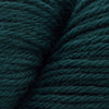 Cascade Yarns 220 -8893 - Hunter Green | Yarn at Michigan Fine Yarns
